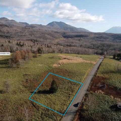 Joseph Frick Land #1