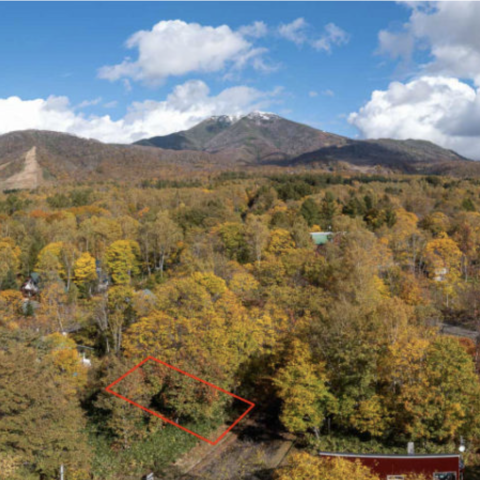 Screenshot 2024-07-05 at 12.50.30 PM