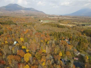 396632572_796241048941584_1947969687451426858_n