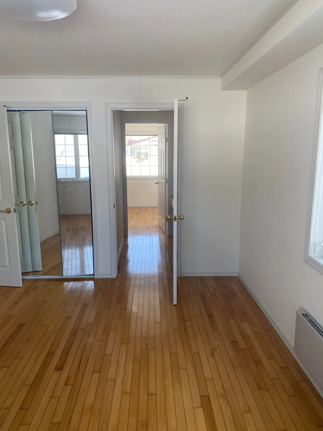 333603164_592075282522662_6291349769607988952_n